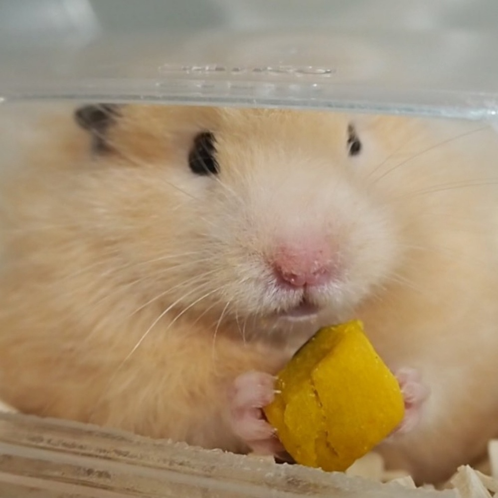 Hello!